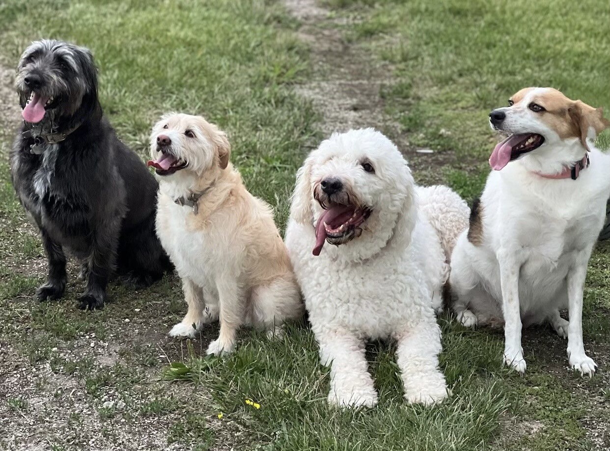 Family Picture